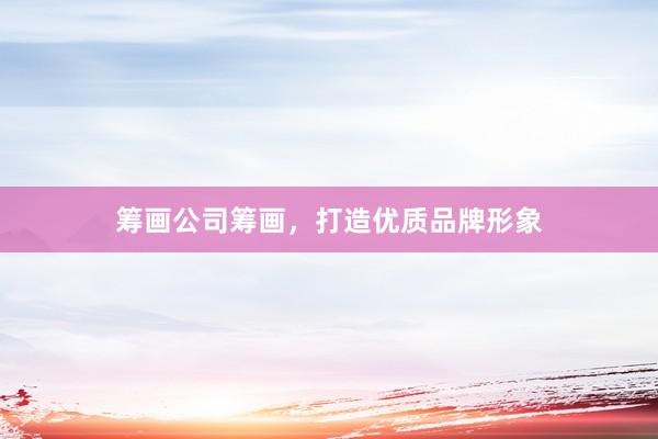 筹画公司筹画，打造优质品牌形象