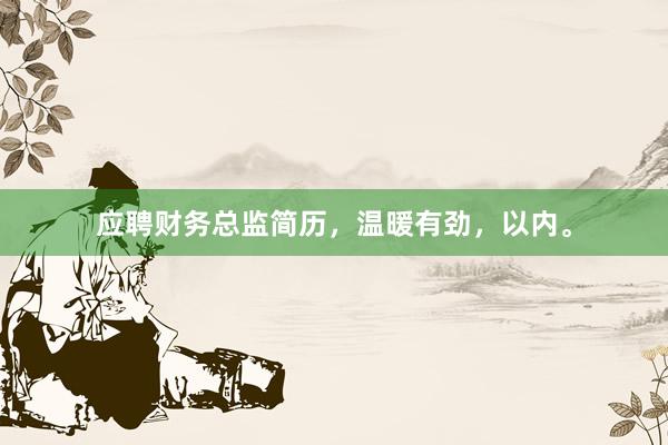 应聘财务总监简历，温暖有劲，以内。